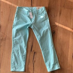 Anne Taylor loft Capri pants